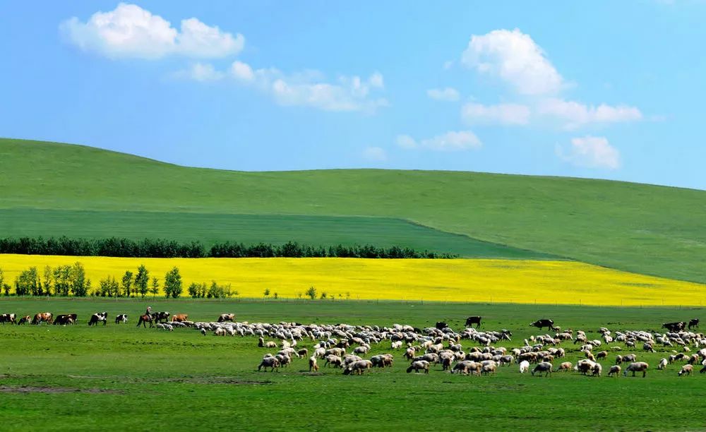 草原科技新韵，内蒙古智能生活启航